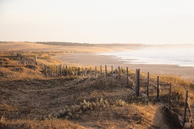 Cabo Polonio