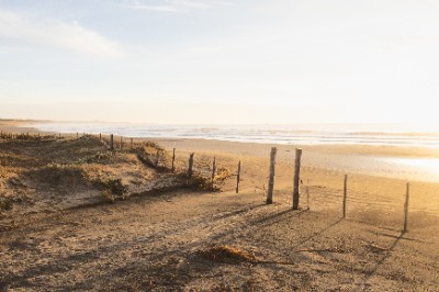 Cabo Polonio