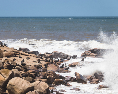 Cabo Polonio