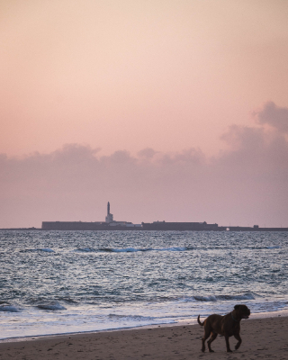 Cadiz