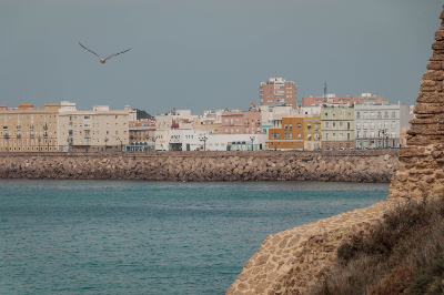 Cadiz