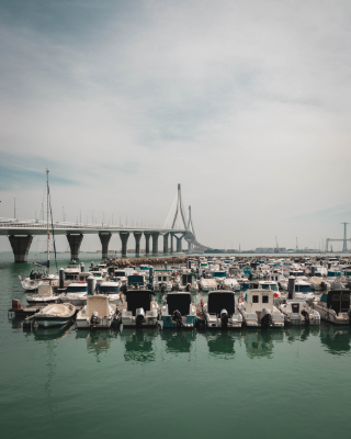 Cadiz