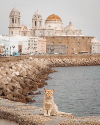 Cadiz