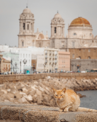 Cadiz