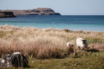 Calgary bay