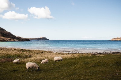Calgary bay
