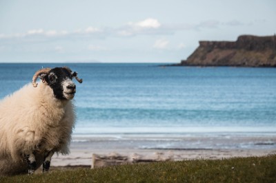Calgary bay