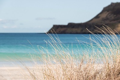 Calgary bay