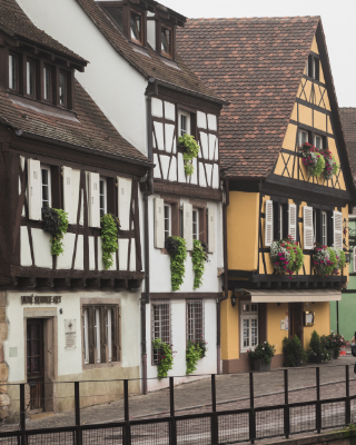 Colmar
