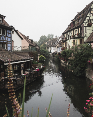 Colmar
