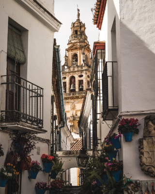 Cordoba
