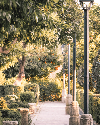 Cordoba