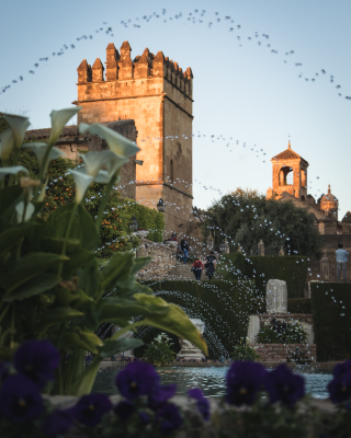 Cordoba