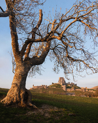 Corfe Castle