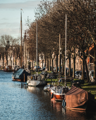 Edam