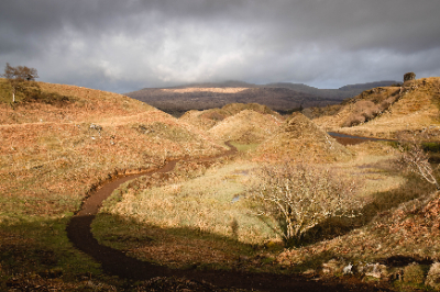Fairy glen
