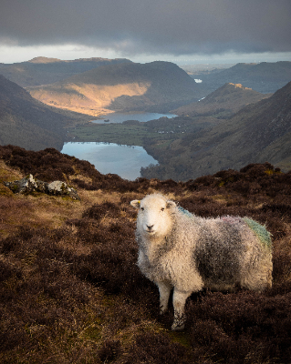 Fleetwith Pike