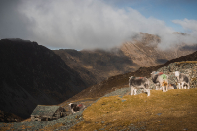 Fleetwith Pike
