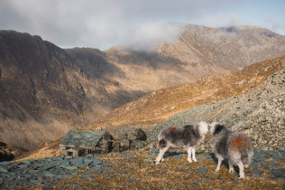 Fleetwith Pike