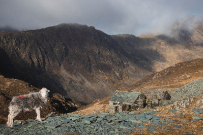 Fleetwith Pike