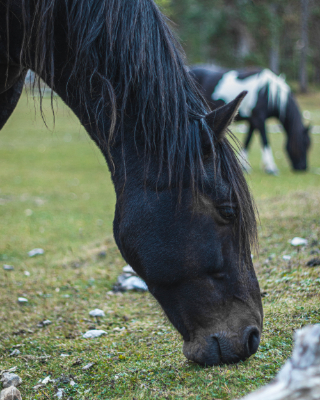 Cirque de Gavarnie