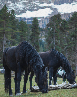 Cirque de Gavarnie