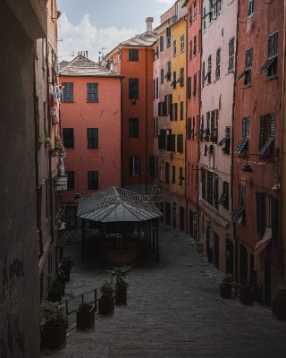Genoa