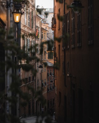 Genoa