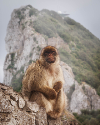Gibraltar, Gibraltar