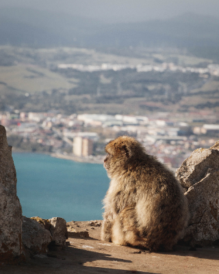 Gibraltar