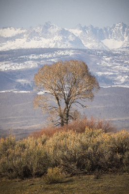 Grand Teton National Park