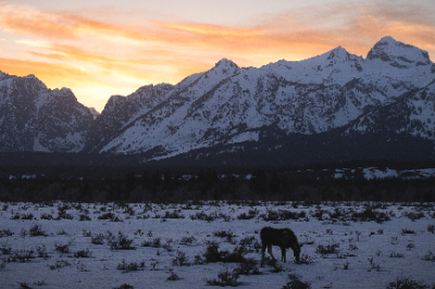 Grand Teton National Park