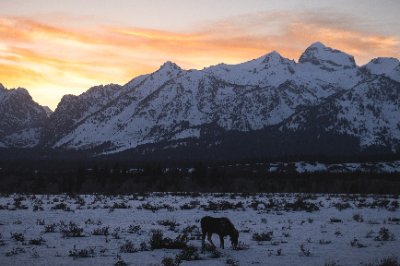 Grand Teton National Park
