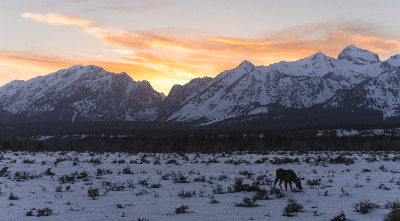 Grand Teton National Park
