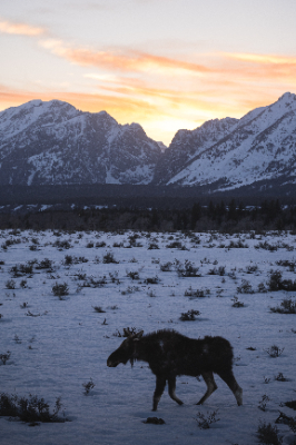 Grand Teton National Park