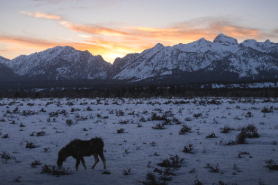 Grand Teton National Park