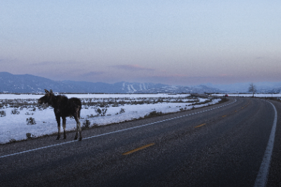 Grand Teton National Park