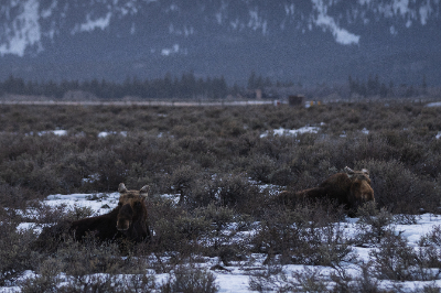 Grand Teton National Park