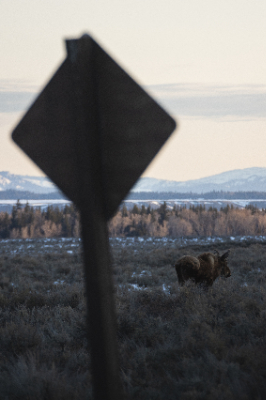 Grand Teton National Park