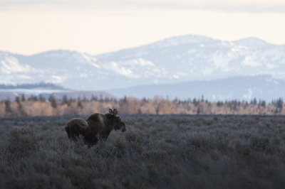 Grand Teton National Park