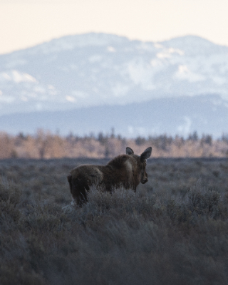 Grand Teton National Park