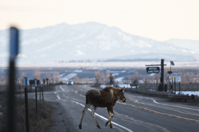 Grand Teton National Park
