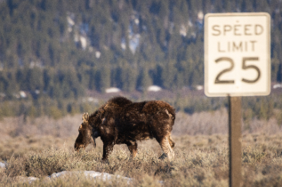 Grand Teton National Park