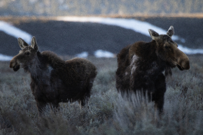 Grand Teton National Park