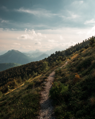 Mountains