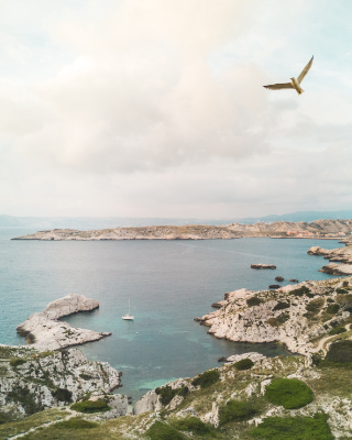 Îles du Friuole