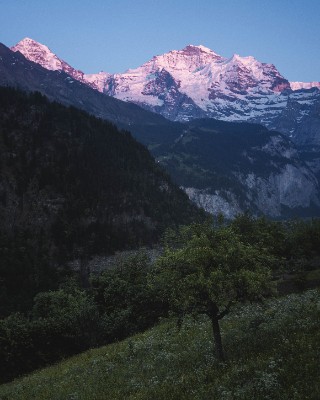 Isenfluh