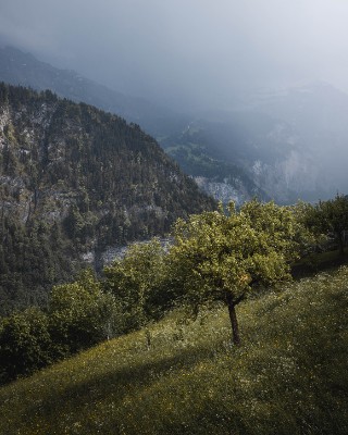 Isenfluh