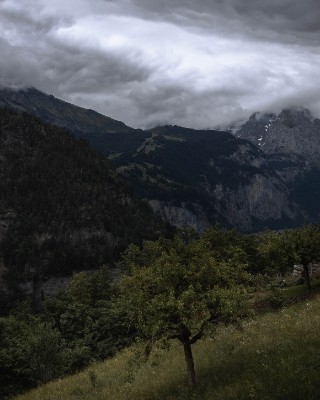 Isenfluh