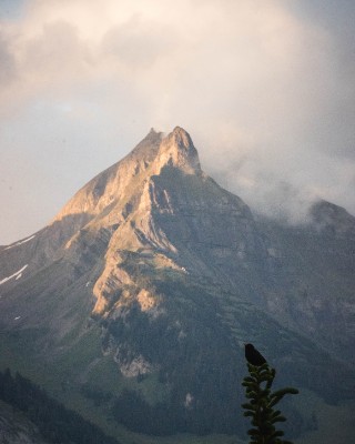 Isenfluh